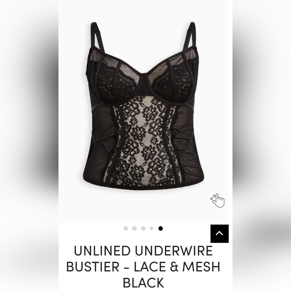 NWT Lace and mesh bustier/corset